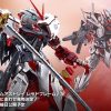 日魂 限定 METAL BUILD 異端鋼彈紅色機 PROJECT ASTRAY 紅異端